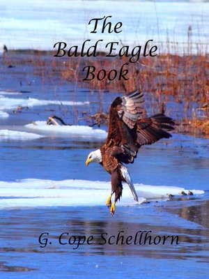 cover image of The Bald Eagle Book